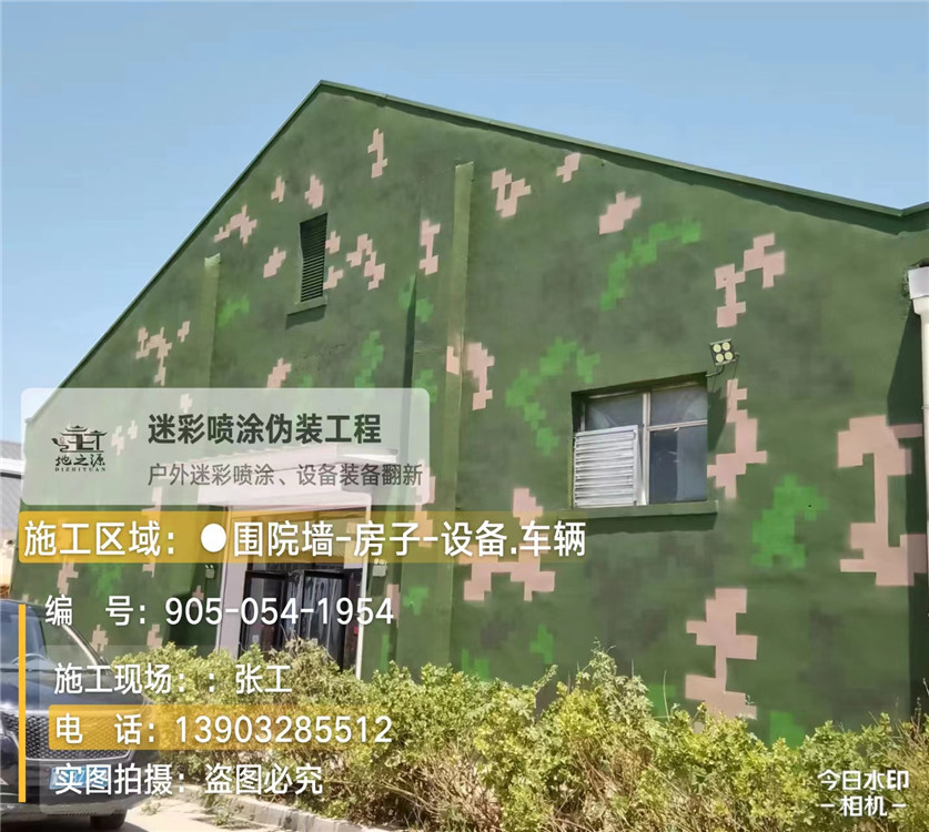 安康外墙数码迷彩漆施工报价清单(100㎡标准墙面测算)